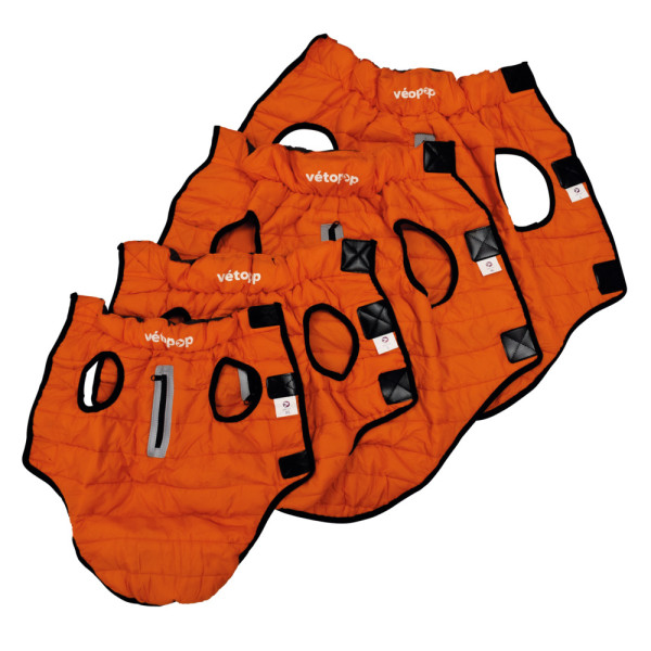 Dog Padded Coat
